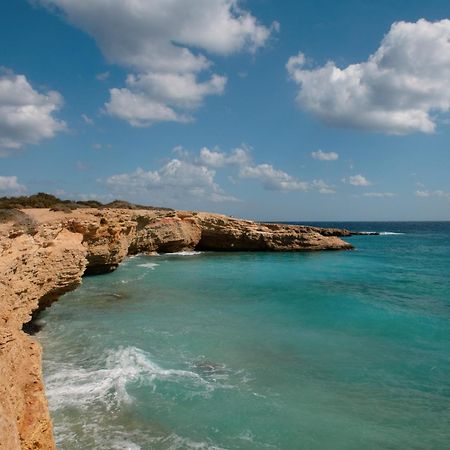 Dafnis Koufonisia Apartment Bagian luar foto